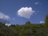 PICT0827