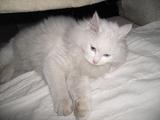 PICT0578
