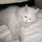 PICT0578
