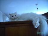 PICT0847