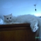 PICT0847
