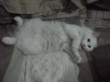 PICT0716