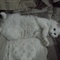 PICT0716