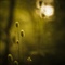 2631141936_77ca87656d