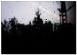 雨中