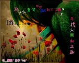 网友