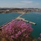 海岛风光1