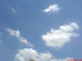 DSC04630