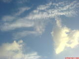 DSC04636