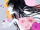 侑子xxxHOLic