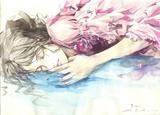 何舞舞