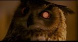 OWL2