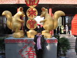 鼠来宝