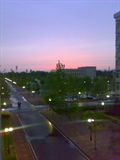 05032008183