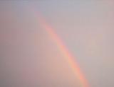 1220177531900313_file