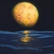 B056A538-E09E-4160-B778-2019E56F9D42