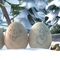 0F10D8F6-506E-45D4-BBA5-259FD04A3D9D