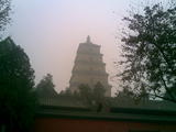 20071111(038)