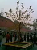 20071111(105)