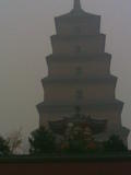 20071111(102)