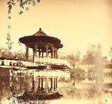 周润发 作品