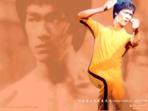 李小龙18