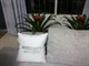 09120506_conew1