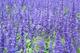 82a4432ad47e17b0023bf664
