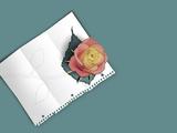 computer_design_imaginelove-1280