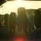 wildthingsare-fl-01
