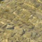 泸沽湖：水清1