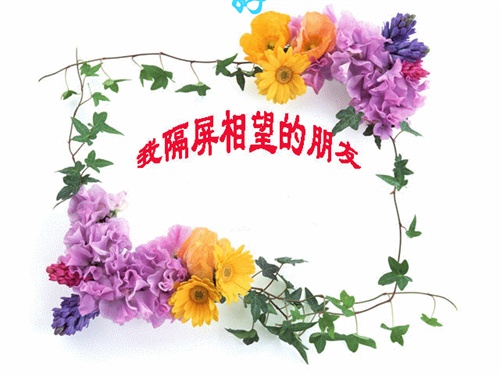 1a01c53qef5b
