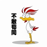 不敢苟同