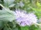 large_2984a169