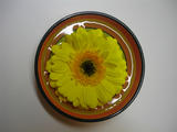 DSC01260