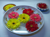 DSC01265