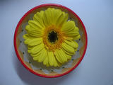 DSC01263