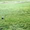 nEO_IMG_DSC_0414