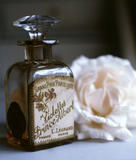 perfume~