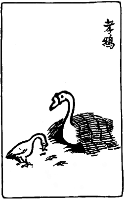 [观画护心]丰子恺《护生画集》第二集(60幅) - jackie - 随风飞