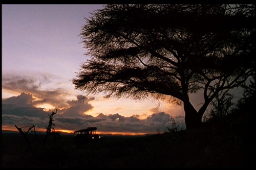 走不出的非洲------记电影《走出非洲》