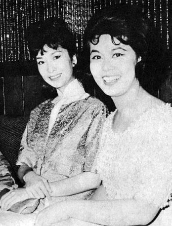 不了情:怀念林黛