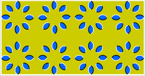 这张图是动还是静止的?