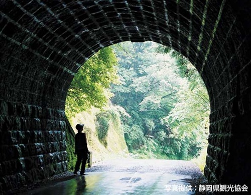 [天城山奇案]:青春,一条幽冥的隧道