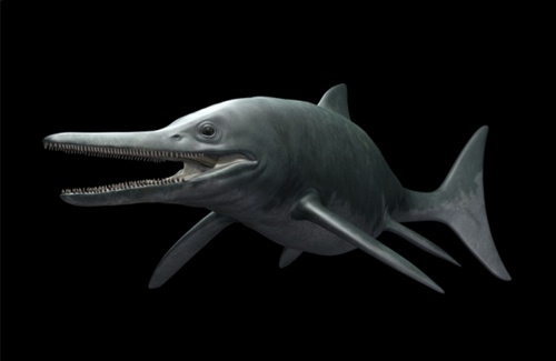 怪物蓝鲸卡通简笔画图片